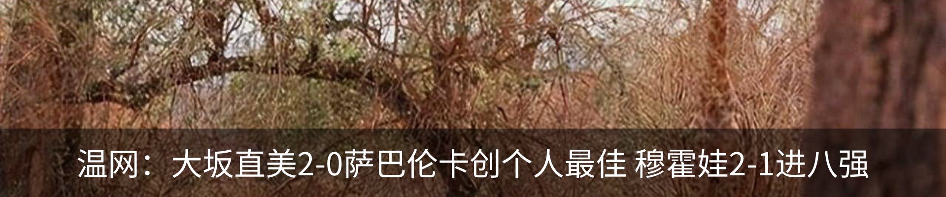 资讯动态